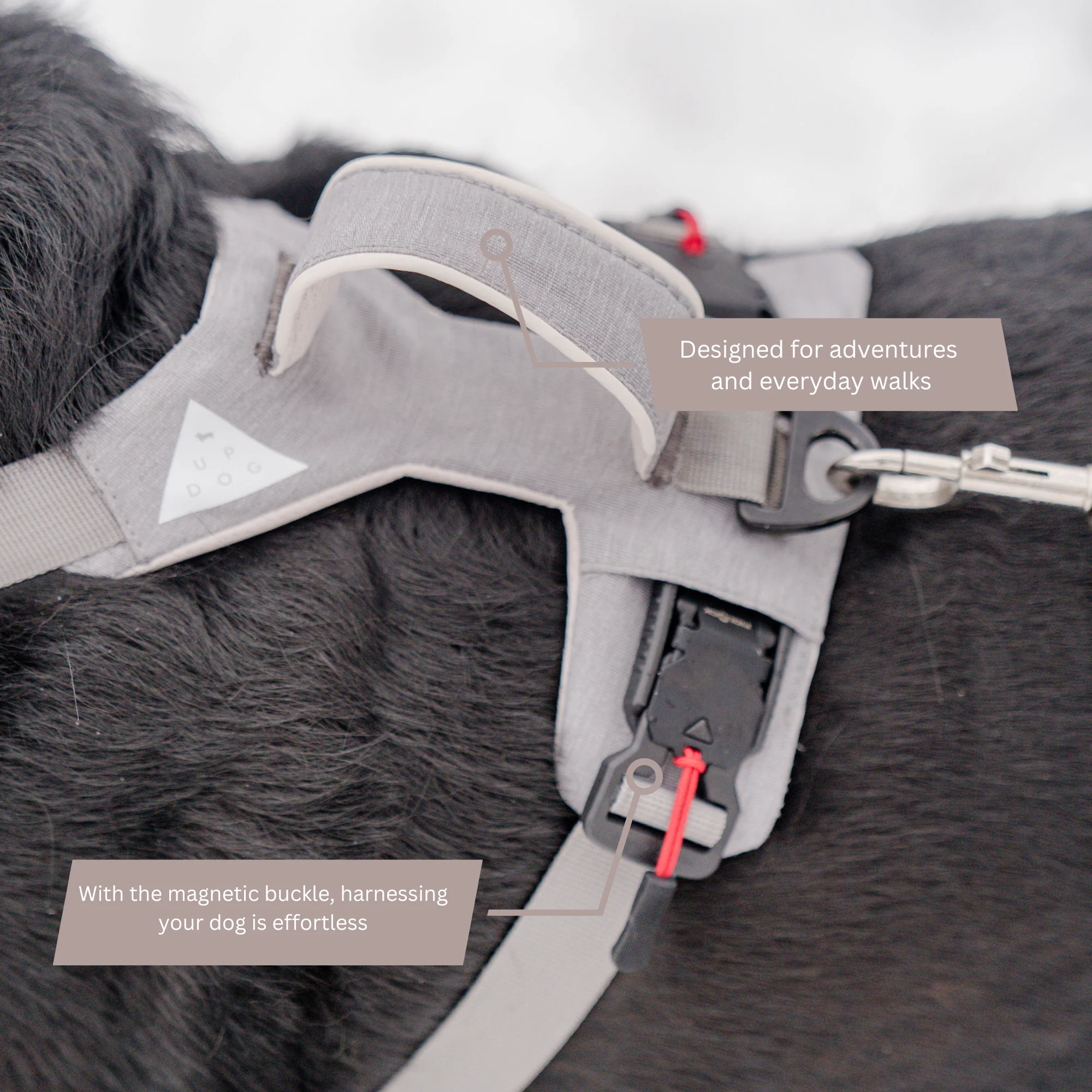 Magnetic Dog Harness - One-Hand Clip, No-Pull Design - Image 4