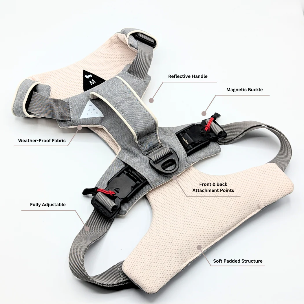 Magnetic Dog Harness - One-Hand Clip, No-Pull Design - Image 5