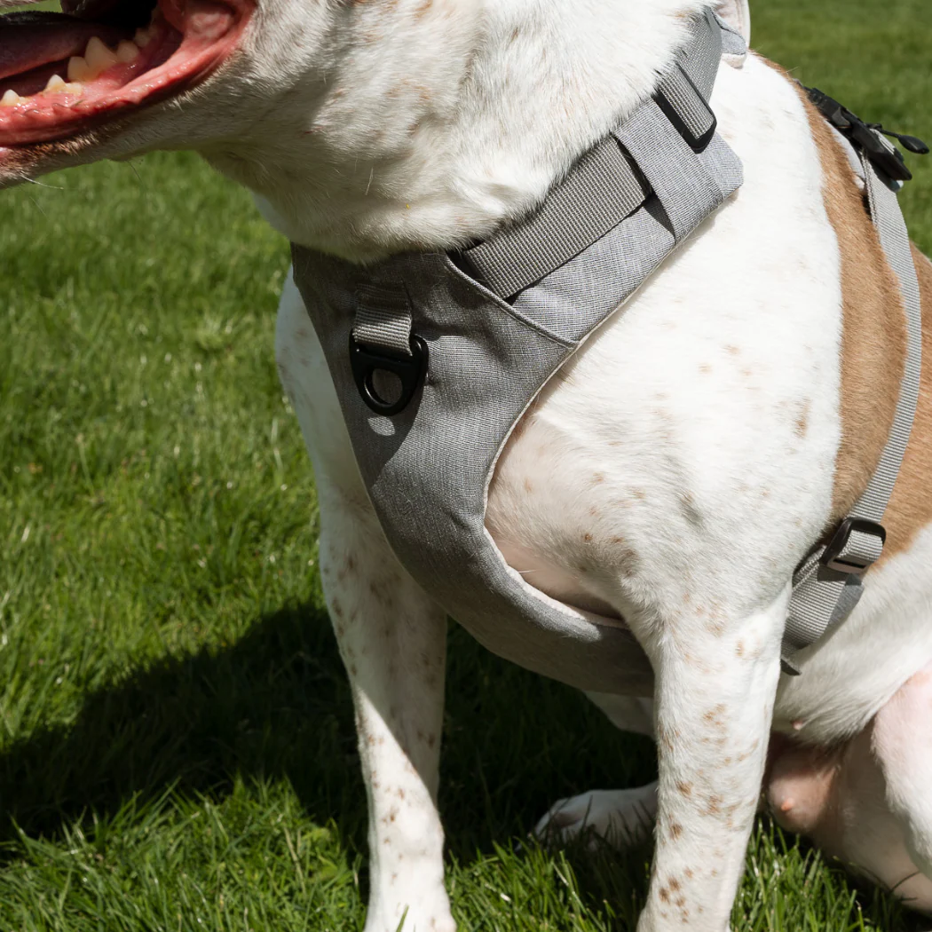 Magnetic Dog Harness - One-Hand Clip, No-Pull Design - Image 8