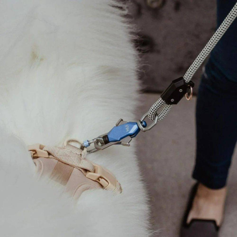 Patented Magnetic Dog Leash - One-Hand Connect & Release - Image 3