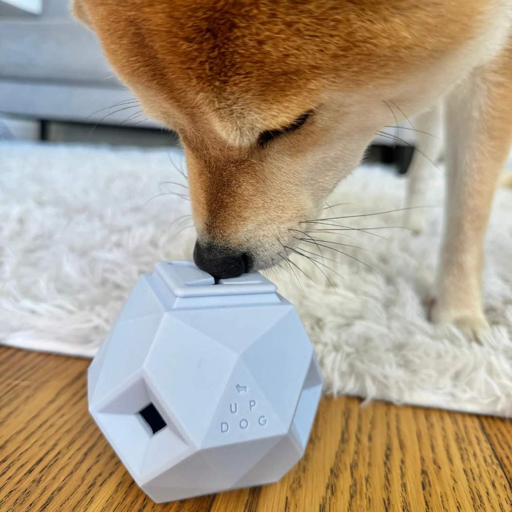 The Odin Treat Dispensing Toy For Dogs - Image 10