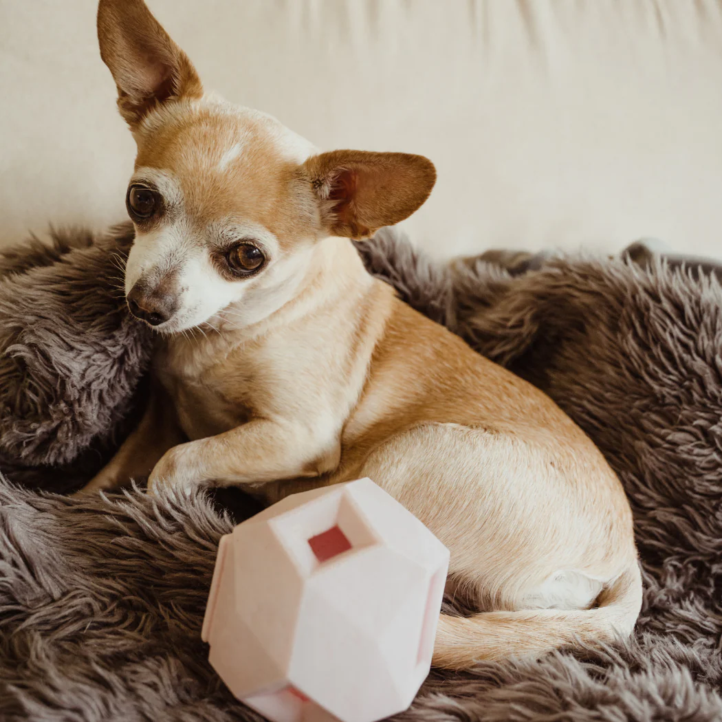 The Odin Treat Dispensing Toy For Dogs - Image 12