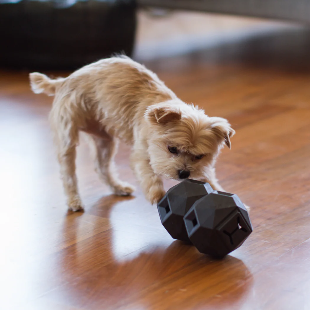 The Odin Treat Dispensing Toy For Dogs - Image 5