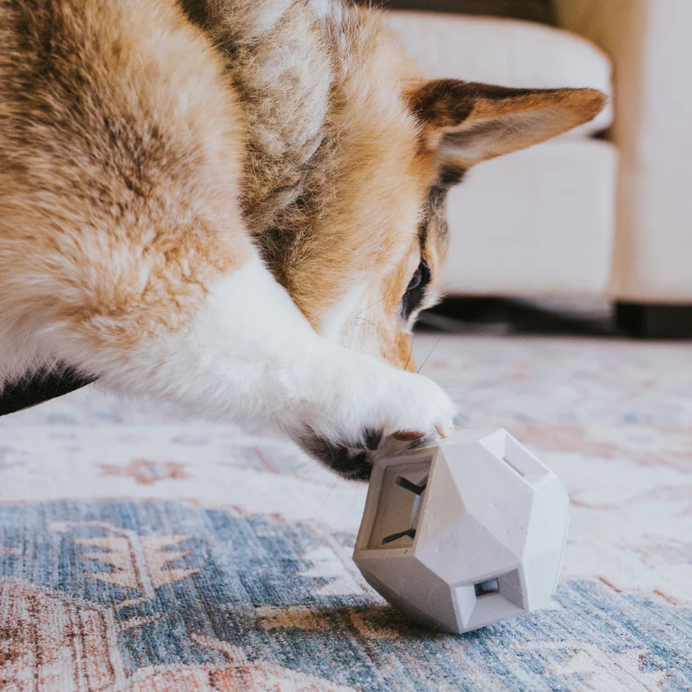 The Odin Treat Dispensing Toy For Dogs - Image 9