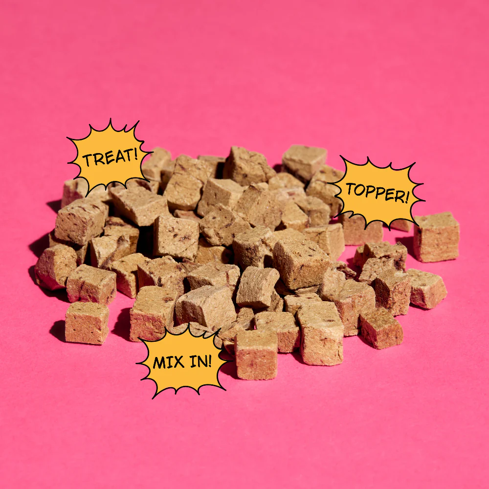 Up Dog X Snaggletooth Bundle - Image 6